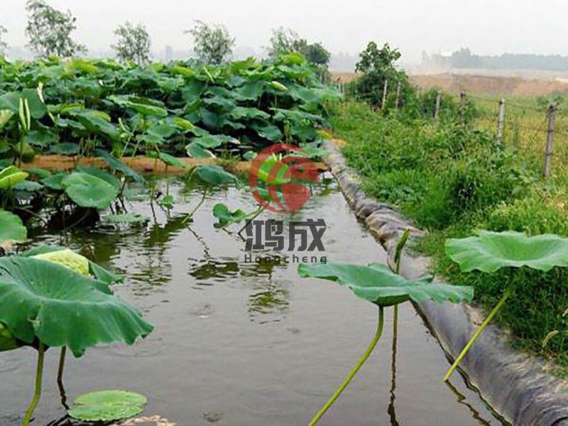 鱼塘养殖土工膜